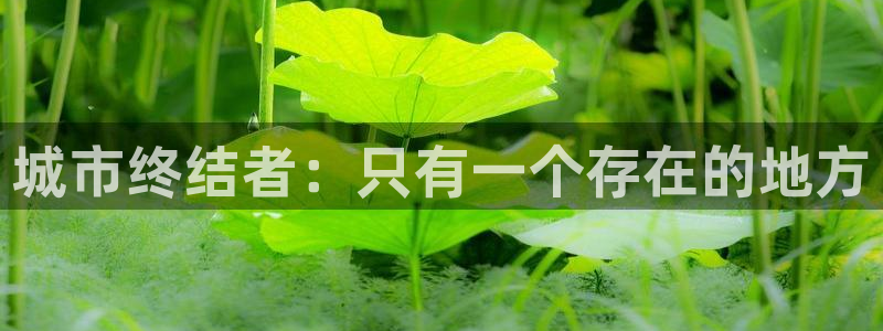 包子漫画无广告官网入口